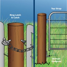 13786 - FG15 Ring Latch illustration 1200px